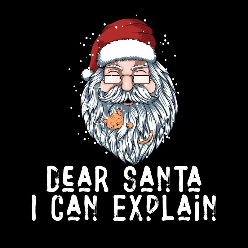Dear Santa I Can Explain