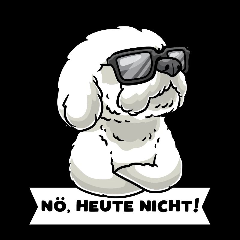 Stur Bichon Frisé Hund Gelockter Bichon