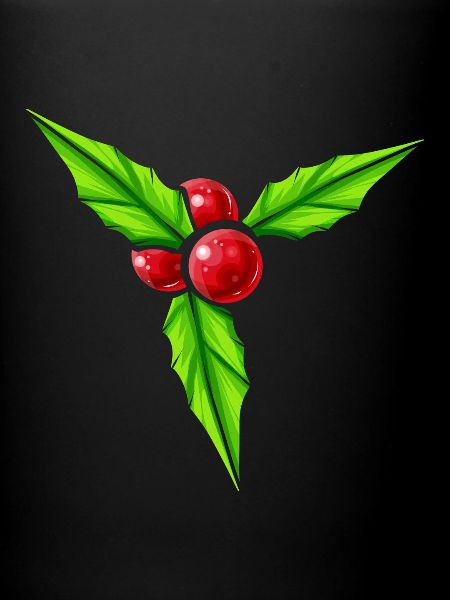 Grand gui pour Noël