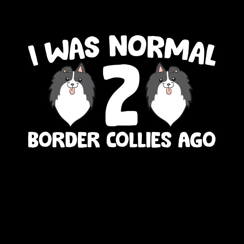 Border Collie Propriétaire J’étais normal 2 Border Collies