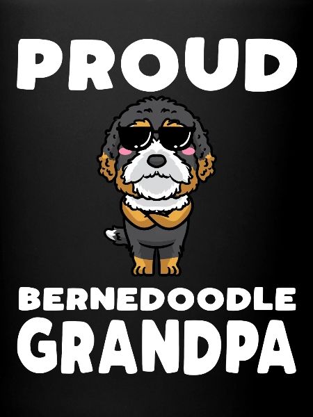 Bernedoodle Dog