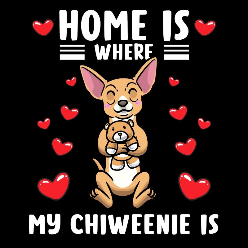 Chiweenie Hund Mit Kuscheltier