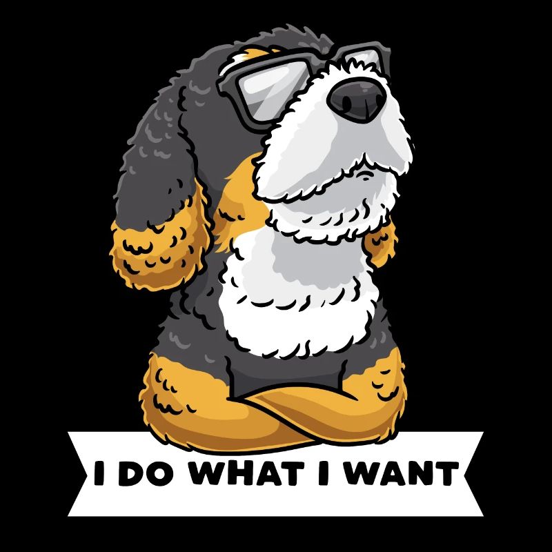 Bernedoodle Hund Mit Sonnenbrille
