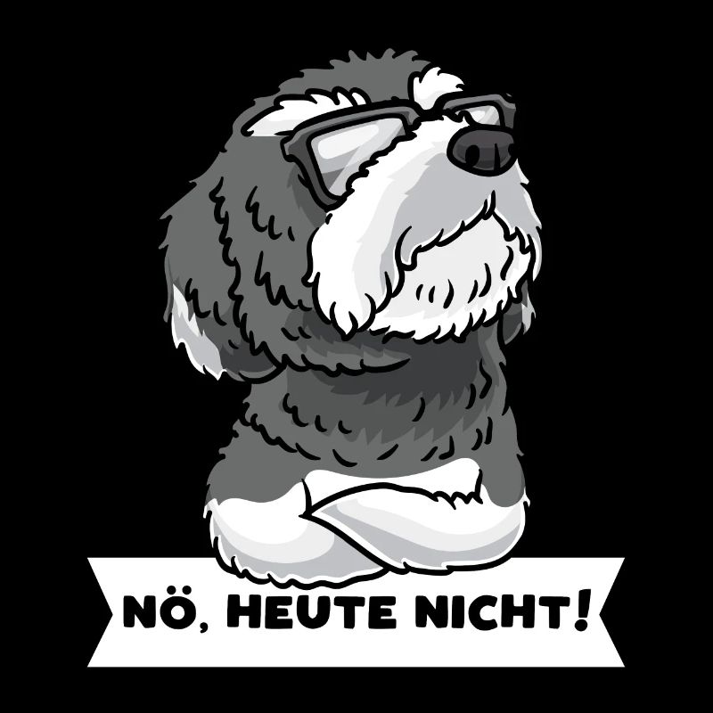 Schnoodle Hund Mit Sonnenbrille Stur