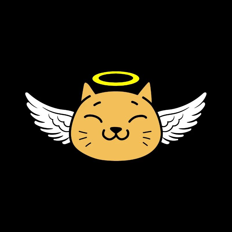 Mignon Ange Chat