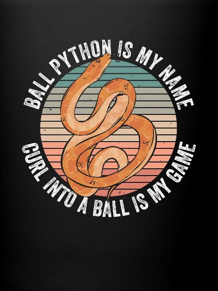 Königspython Bananenkugel Python