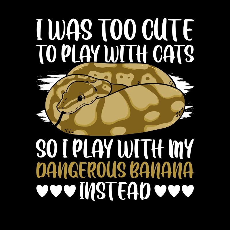 Dangerous Banana Königspython Banana Ball Python