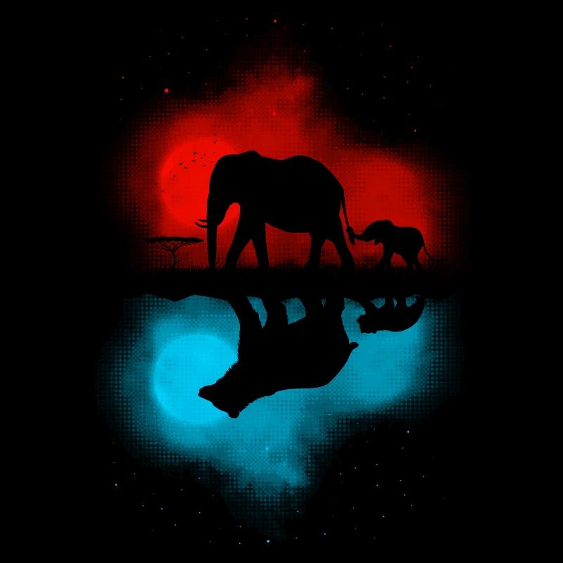 Elefant Reflexion Bär