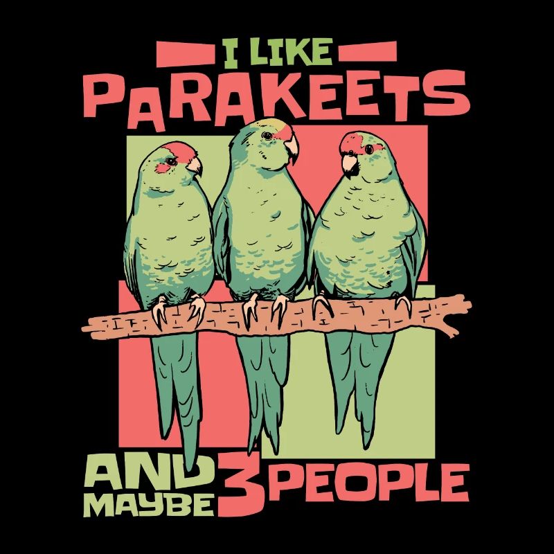 Perruche Budgerigar Oiseau Animal