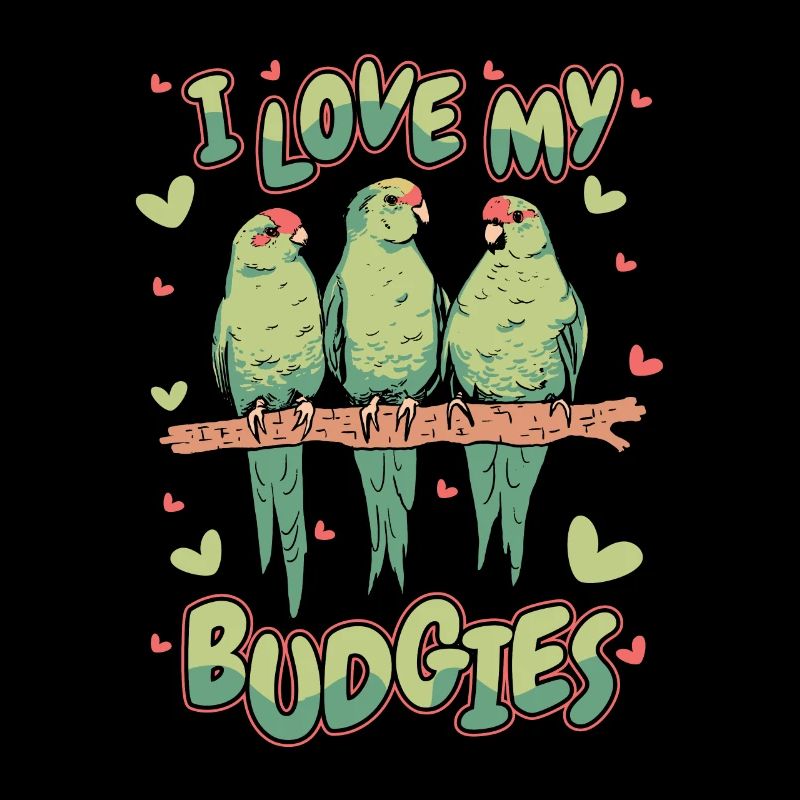 Perruche Budgerigar Oiseau Animal