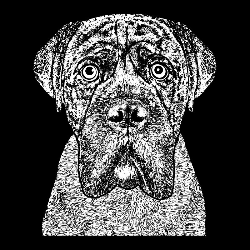 Portrait d’un chien boxer dans un style comique.