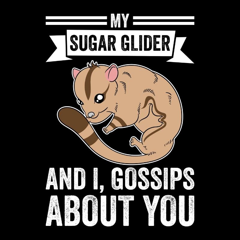 My Sugar Glider And I Gossips About You