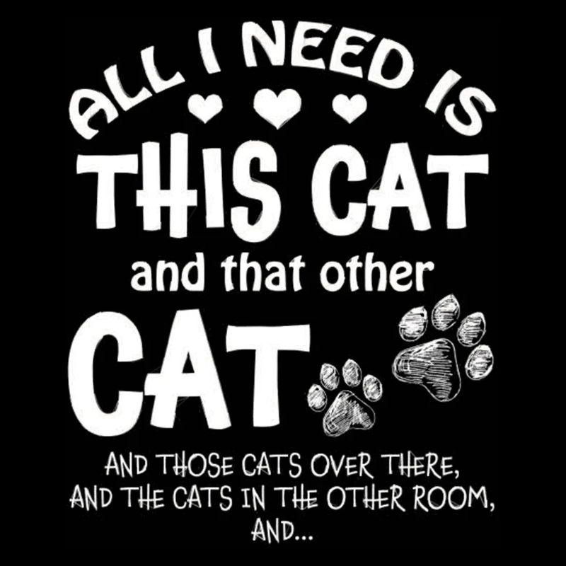 Tout ce dont j’ai besoin, c’est de ce chat et de cet autre chat ces chats