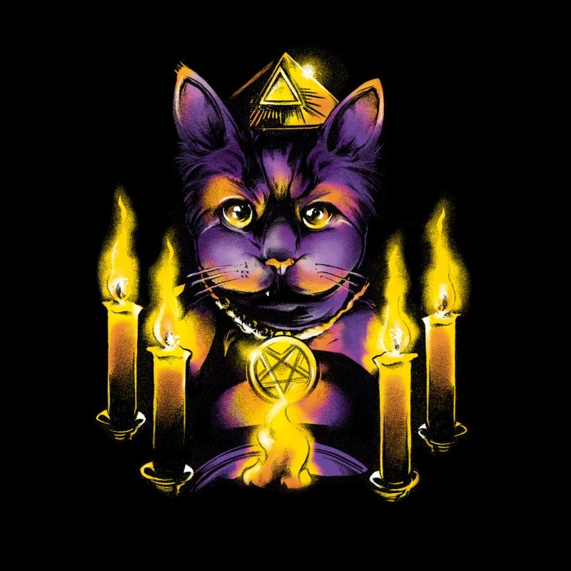 Magic cat