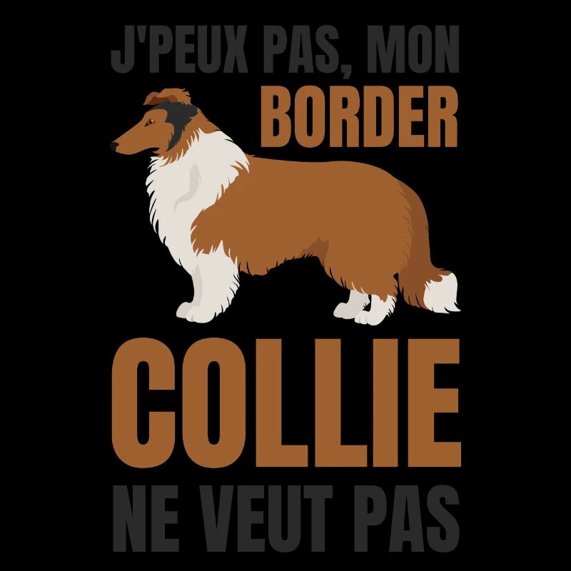 Border collie chien doux