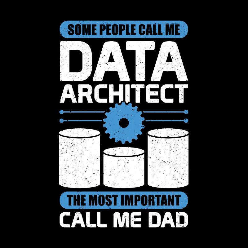 Data Architecture Database Architect Dad Gift