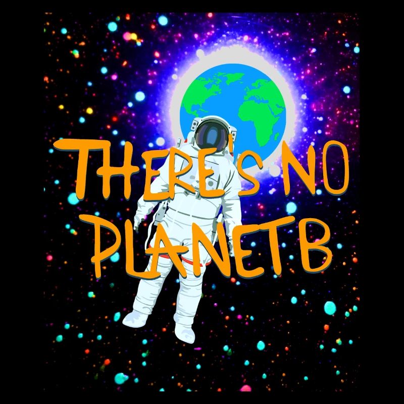 There is not planet B - Slogan zum Schutz der Erde