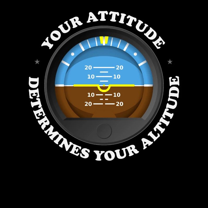 Your Attitude Determines Your Altitude -