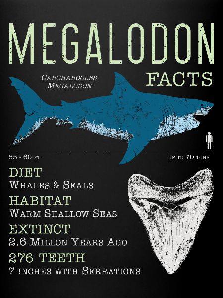 Faits sur le mégalodon