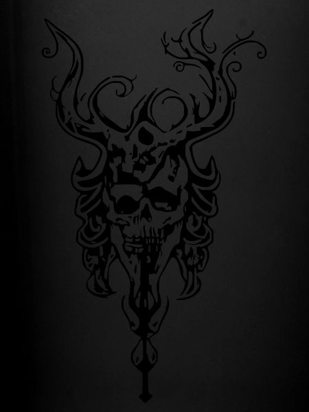 Skull duo