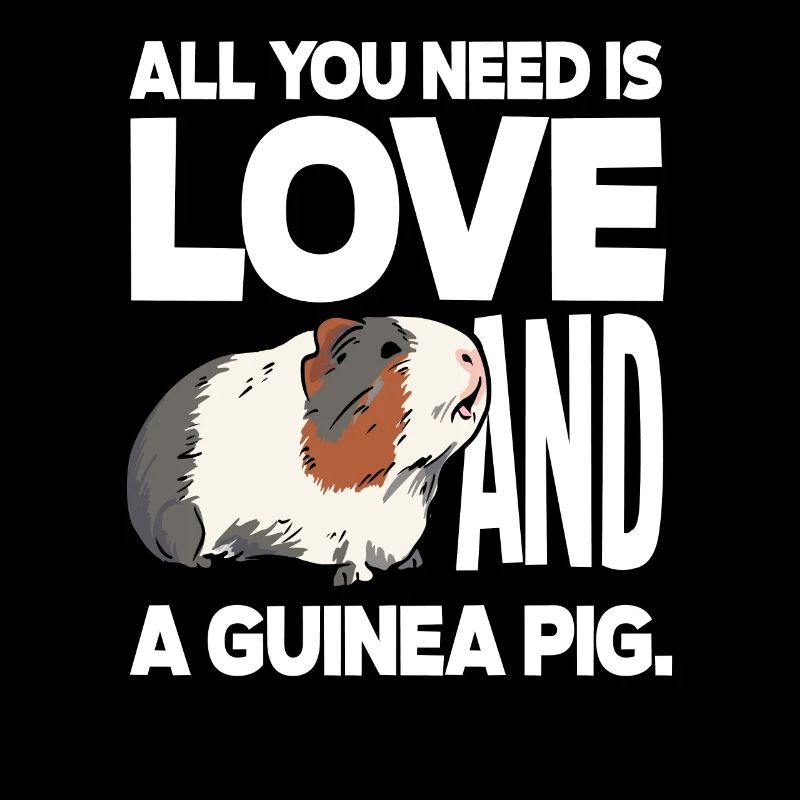 Chers cochons d’Inde