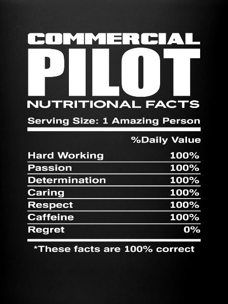 Profession de pilote professionnel