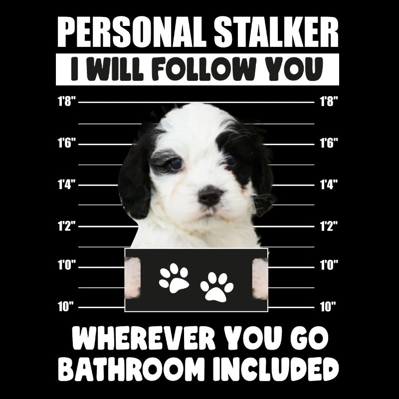 Lustiger persönlicher Stalker Hund Cavapoo Besitzer Geschenk