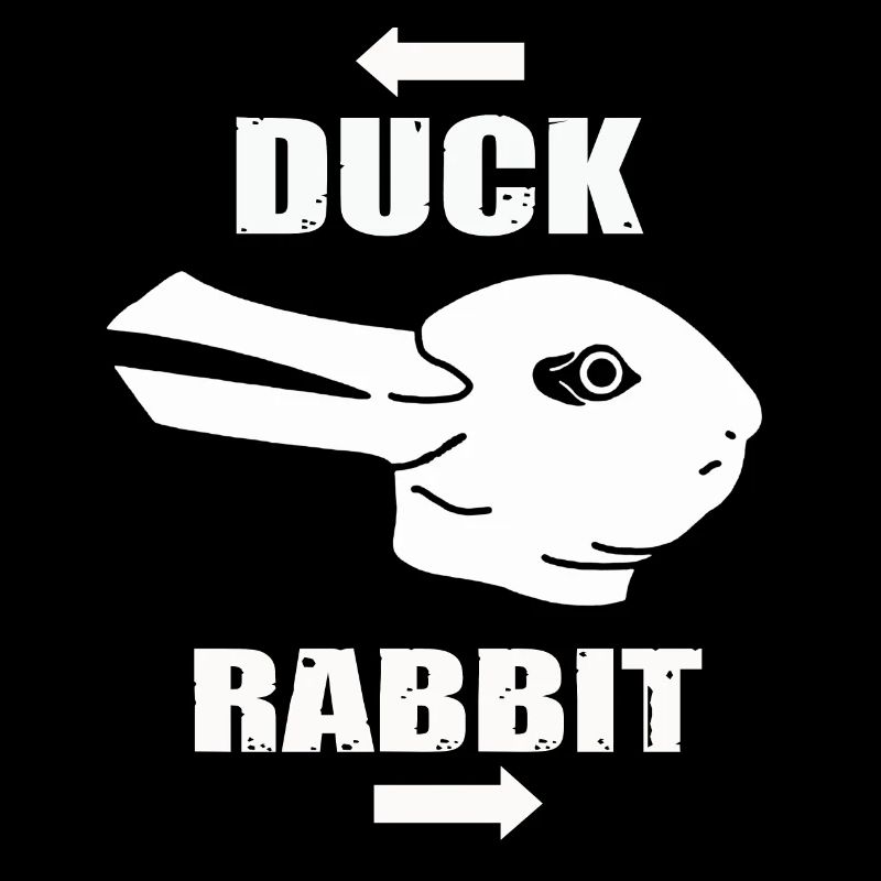 Wittgenstein lapin canard illusion