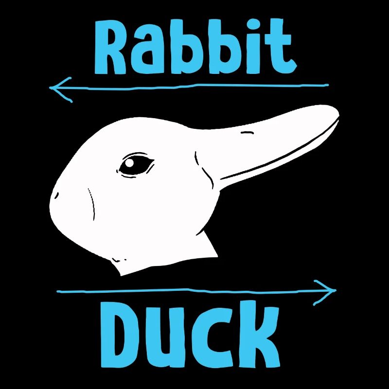 Wittgenstein lapin canard illusion