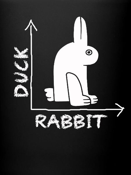 Wittgenstein lapin canard illusion