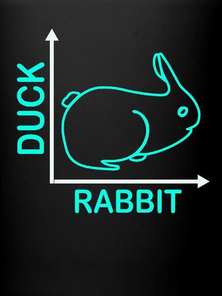 Wittgenstein lapin canard illusion
