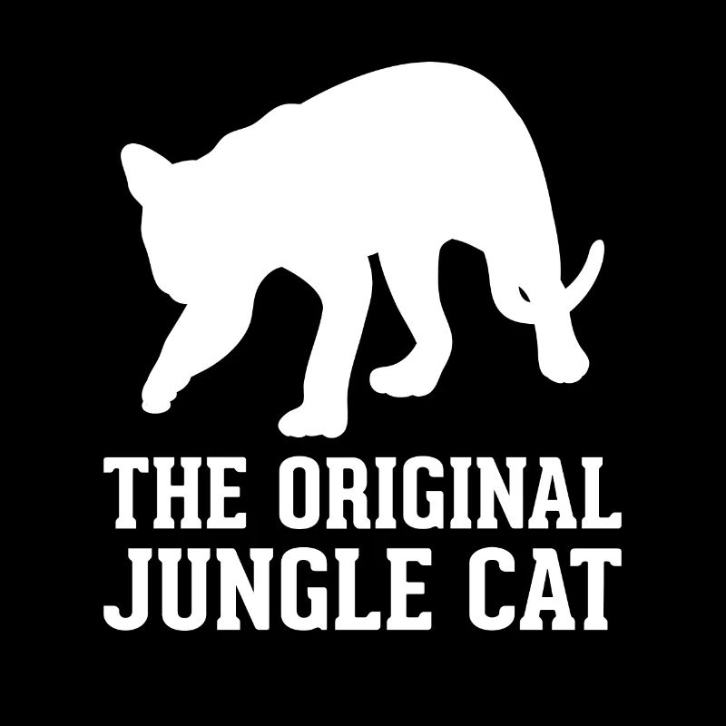 04 Le chat de la jungle original