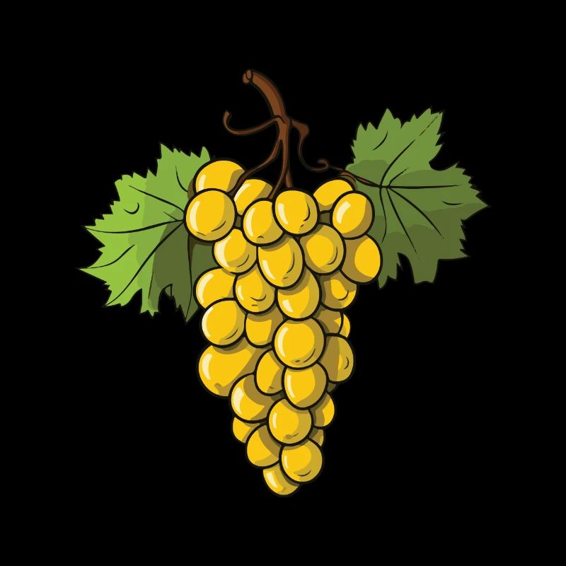 Grapes Fruit
