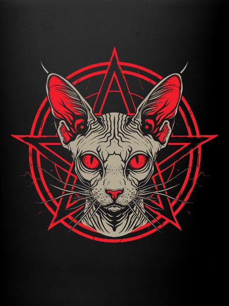 Cadeau Chat Sphynx