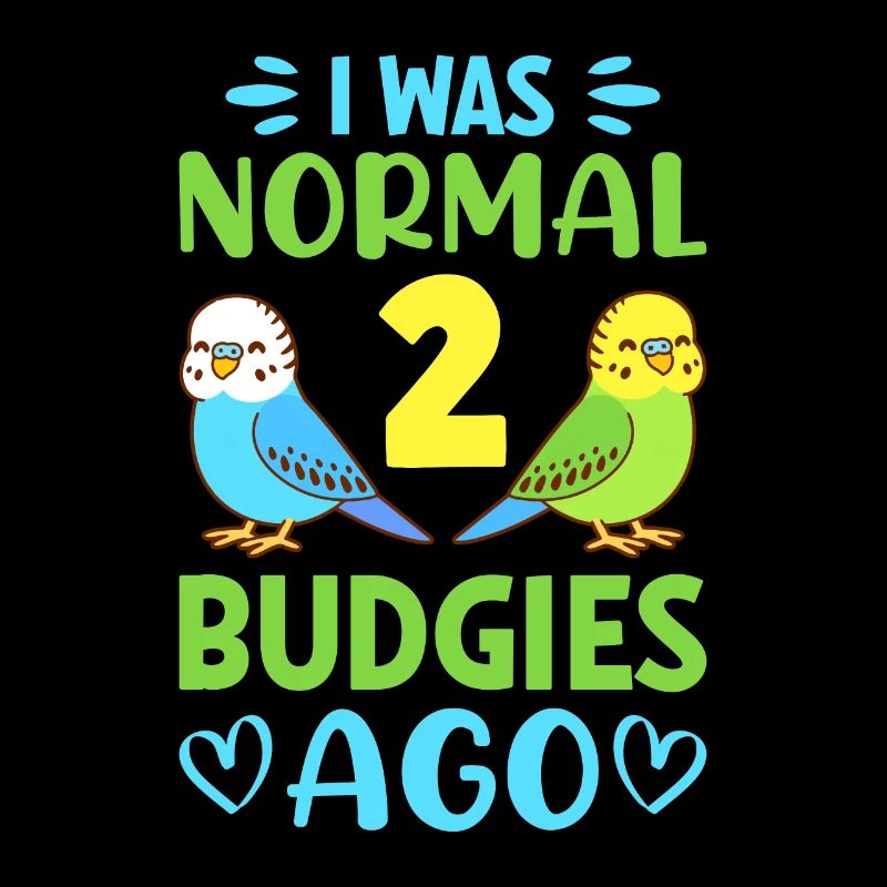 Perruche ondulée, ami à plumes, observation des oiseaux