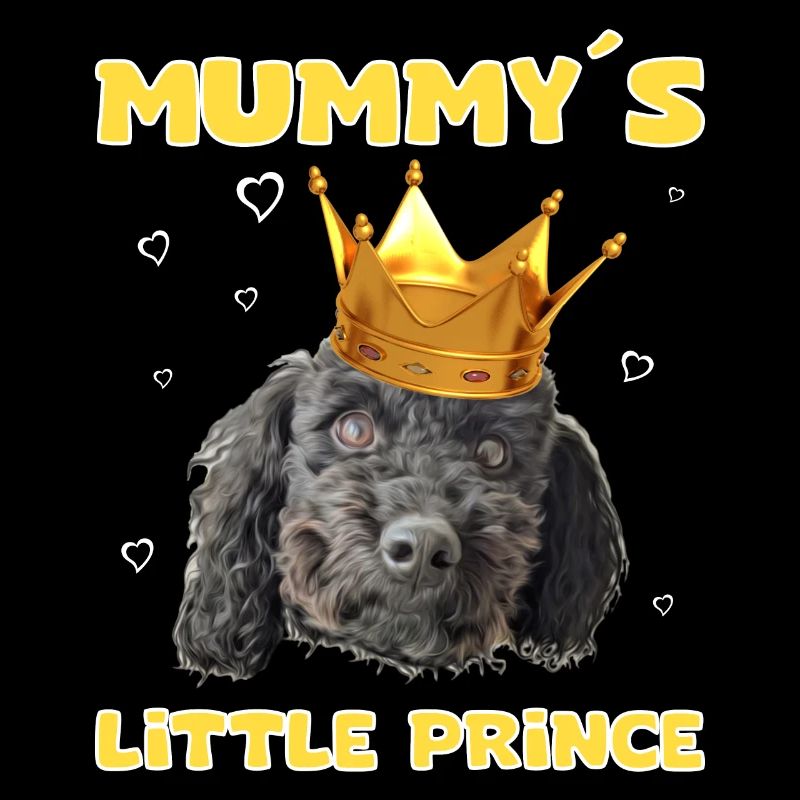cute cute black poodle with crown