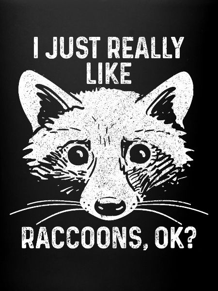 Raccoon Funny Gift