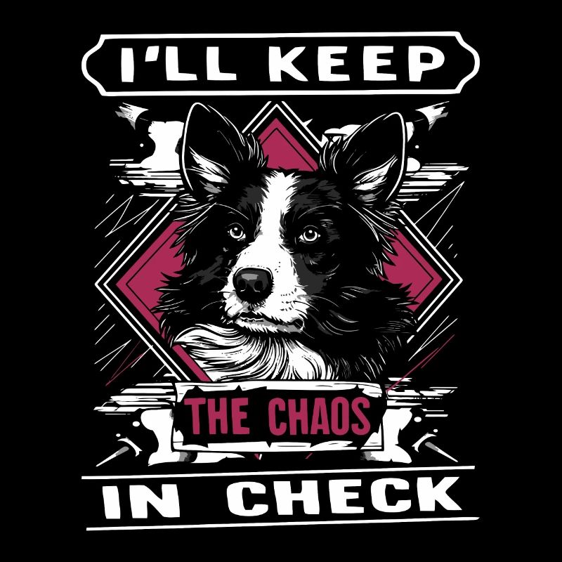 Hund | I`ll keep the chaos in check Border Collie