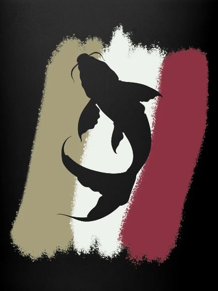 Tête de poisson Koi