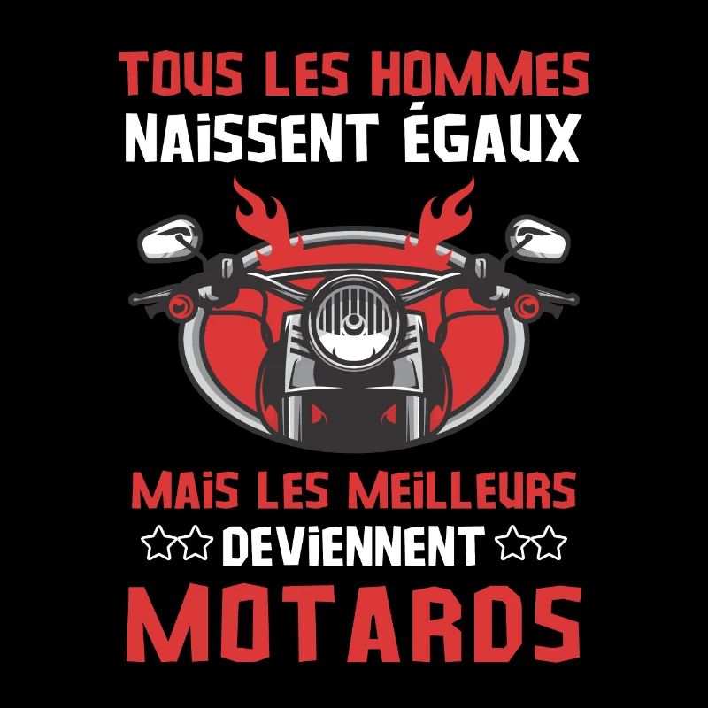 Cascadeur motard
