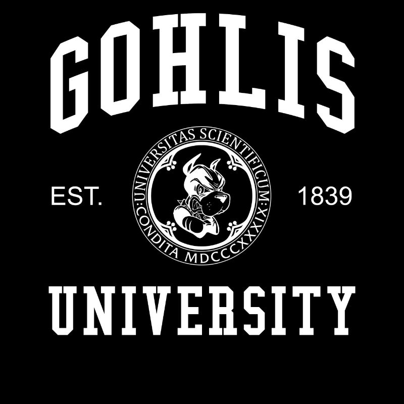 Collège universitaire Gohlis de Leipzig