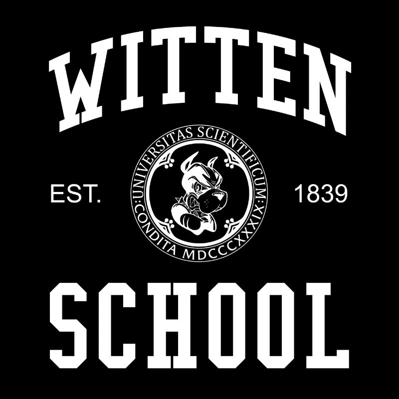 École de Witten, Hochschule, Université Schule Uni