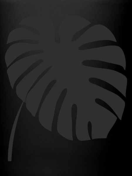 Feuille de Monstera