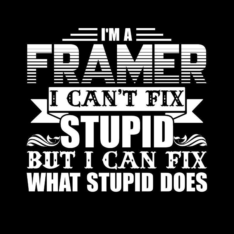 Framer I Can't Fix Stupid