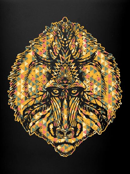 Baboon Geometric