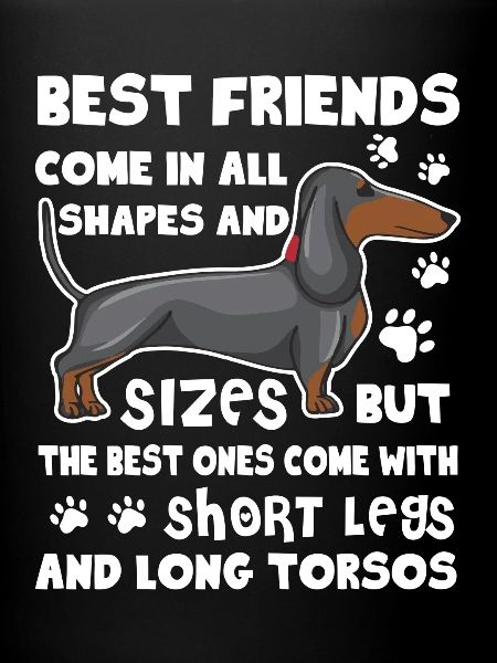 Dachshund Best Friend