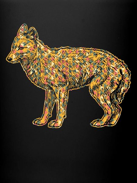 Coyote Geometric