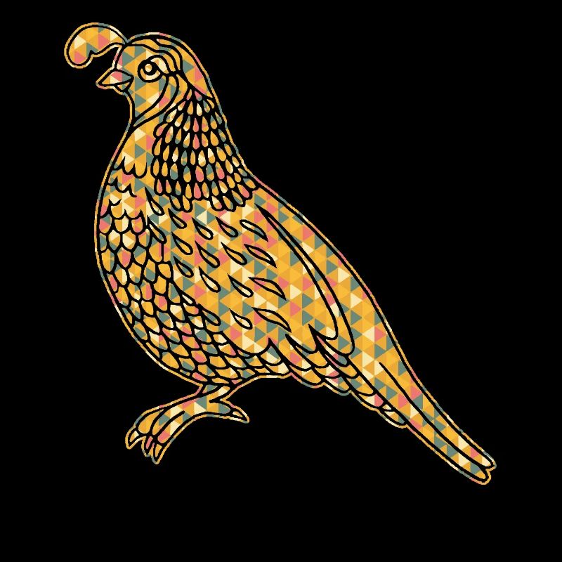 Quail Geometric
