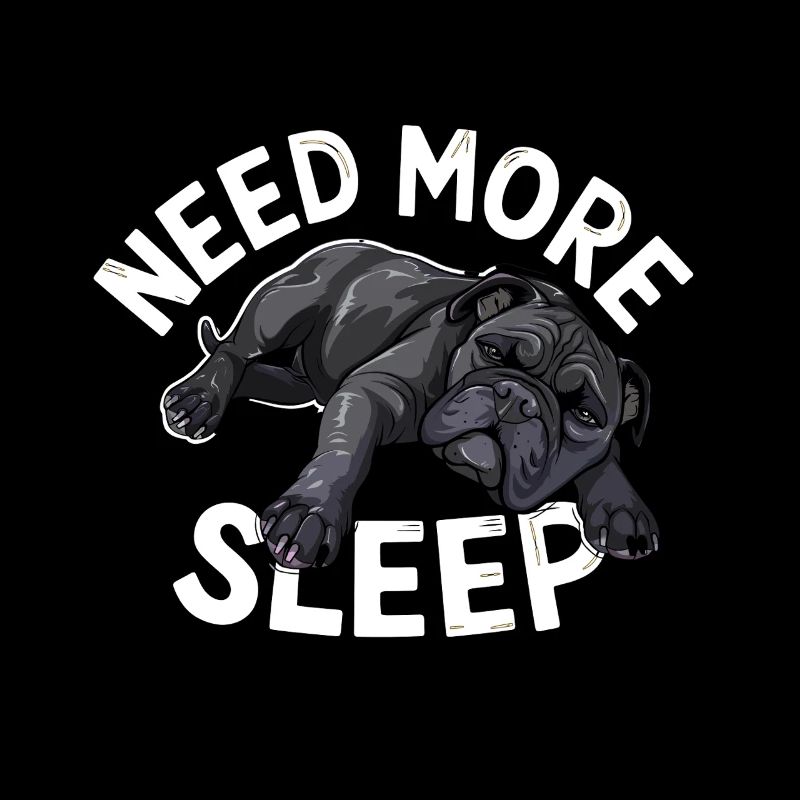Need More Sleep Funny Pug