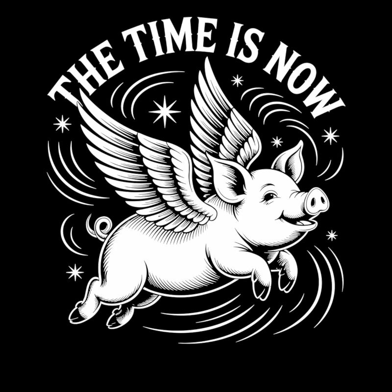 Fliegendes Schwein - Jetzt ist die Zeit